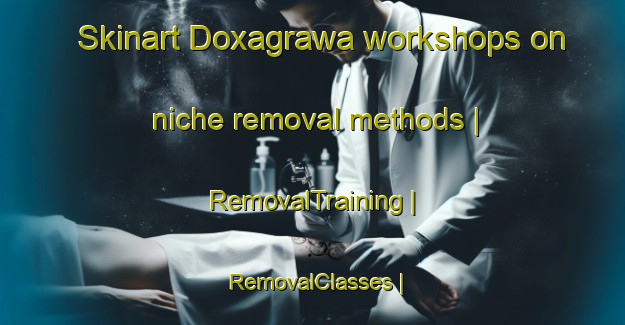 Skinart Doxagrawa workshops on niche removal methods | RemovalTraining | RemovalClasses | SkinartTraining-China